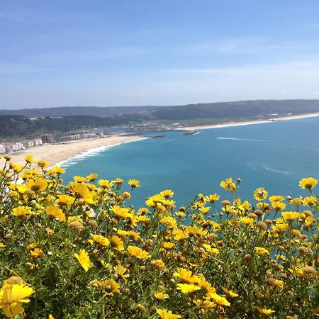 33 Silver Coast Villa Nadadouro